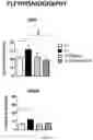 Fig. 09 - NEW GENE THERAPY CONSTRUCTS