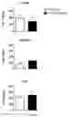 Fig. 10 - NEW GENE THERAPY CONSTRUCTS