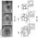 Fig. 03 - ENHANCED HUMAN OPSIN PROMOTER FOR ROD SPECIFIC EXPRESSION