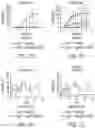 Fig. 12 - ENHANCED HUMAN OPSIN PROMOTER FOR ROD SPECIFIC EXPRESSION
