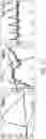 Fig. 21 - ENHANCED HUMAN OPSIN PROMOTER FOR ROD SPECIFIC EXPRESSION