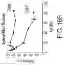 Fig. 29 - ENHANCED HUMAN OPSIN PROMOTER FOR ROD SPECIFIC EXPRESSION