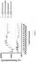 Fig. 21 - CONTROLLED EXPRESSION OF TRANSGENES USING CLOSED-ENDED DNA (CEDNA) VECTORS