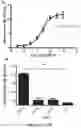Fig. 03 - HER3 peptides for imaging and radiotherapy