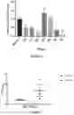 Fig. 08 - HER3 peptides for imaging and radiotherapy
