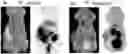 Fig. 01 - Neovascular-targeting contrast medium composition and method for preparing same
