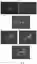 Fig. 08 - COMPOUNDS AND METHODS FOR THE DETECTION OF TRPV-6 CANCERS AND DRUG DELIVERY