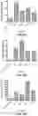 Fig. 22 - COMPOUNDS AND METHODS FOR THE DETECTION OF TRPV-6 CANCERS AND DRUG DELIVERY