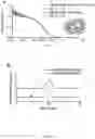 Fig. 08 - FUNCTIONALIZED SILICA NANORINGS, METHODS OF MAKING SAME, AND USES THEREOF