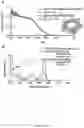 Fig. 09 - FUNCTIONALIZED SILICA NANORINGS, METHODS OF MAKING SAME, AND USES THEREOF