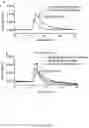 Fig. 10 - FUNCTIONALIZED SILICA NANORINGS, METHODS OF MAKING SAME, AND USES THEREOF