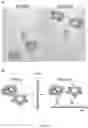 Fig. 20 - FUNCTIONALIZED SILICA NANORINGS, METHODS OF MAKING SAME, AND USES THEREOF