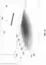 Fig. 31 - DISINFECTION DEVICE