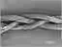 Fig. 01 - TISSUE REPAIR SCAFFOLD AND DEVICE