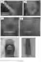 Fig. 07 - Tissue equivalent tubular scaffold structure, and methods of production thereof