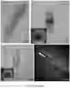 Fig. 08 - Tissue equivalent tubular scaffold structure, and methods of production thereof