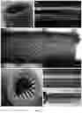 Fig. 09 - Tissue equivalent tubular scaffold structure, and methods of production thereof