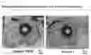 Fig. 04 - IMPLANT MATERIAL CONTAINING SURFACE-TREATED AROMATIC POLYETHER KETONE AND MANUFACTURING METHOD THEREFOR