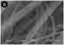 Fig. 01 - Biopolymer scaffold implants and methods for their production