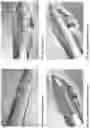 Fig. 02 - Biopolymer scaffold implants and methods for their production