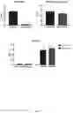 Fig. 09 - Biopolymer scaffold implants and methods for their production