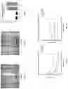 Fig. 10 - Biopolymer scaffold implants and methods for their production