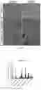 Fig. 15 - Biopolymer scaffold implants and methods for their production