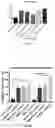 Fig. 16 - Biopolymer scaffold implants and methods for their production