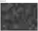 Fig. 04 - POROUS POLYMER SCAFFOLD AND METHODS THEREOF