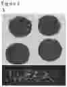 Fig. 07 - POROUS POLYMER SCAFFOLD AND METHODS THEREOF