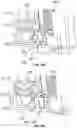 Fig. 44 - SELF-CONTAINED AUTO-INJECTOR