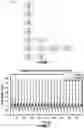 Fig. 02 - METHODS AND MEDICINE DELIVERY DEVICES FOR RESPIRATORY SYSTEM TREATMENT