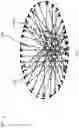 Fig. 16 - Insulated electrode for delivering tumor treating electromagnetic fields