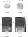 Fig. 04 - Honeycomb-shaped electro-neural interface for retinal prosthesis