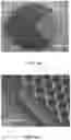 Fig. 05 - Honeycomb-shaped electro-neural interface for retinal prosthesis