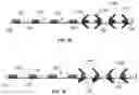Fig. 17 - Implantable Tissue Stimulator and Method of Use