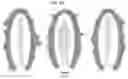 Fig. 17 - COSMIC RESONATOR