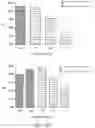 Fig. 28 - Systems and methods for optimizing implantable medical device characteristics using data structures and graphical representations