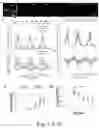Fig. 04 - NEURONAL STIMULATION MODEL, DEVICE AND METHODS USING ALTERNATE CURRENT