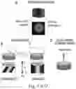 Fig. 10 - NEURONAL STIMULATION MODEL, DEVICE AND METHODS USING ALTERNATE CURRENT