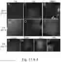 Fig. 14 - NEURONAL STIMULATION MODEL, DEVICE AND METHODS USING ALTERNATE CURRENT