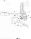 Fig. 03 - Dorsal spinal column characterization with evoked potentials