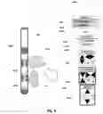 Fig. 08 - Systems and methods for visualizing and programming electrical stimulation