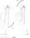 Fig. 07 - MAGNETIC STIMULATION METHOD AND MACHINE