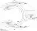 Fig. 12 - Device for delivering precision phototherapy