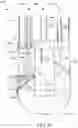 Fig. 30 - Device for delivering precision phototherapy