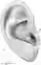 Fig. 01 - EXTERNAL AUDITORY CANAL PHOTOBIOMODULATION AND AUDIO THERAPY DEVICE