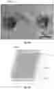 Fig. 05 - FACEPIECE RESPIRATOR