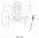 Fig. 18 - TONING GARMENT WITH MODULAR RESISTANCE UNIT DOCKING PLATFORMS
