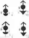 Fig. 06 - Balloon containment device
